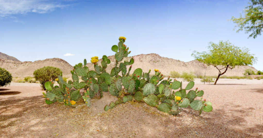 Arizona GOP Advances Bill That Would Allow Americans to Shoot Trespassing Illegal Aliens