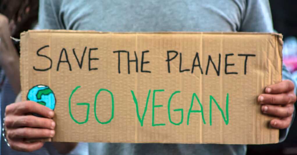 Now, California Restaurants Face Vegan Protesters