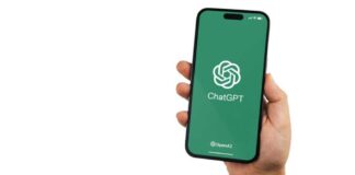 Diego Thomazini / shutterstock.com